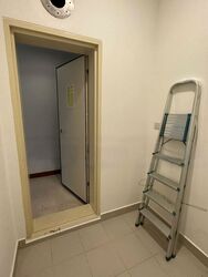 One Oxley Rise (D9), Apartment #468459971